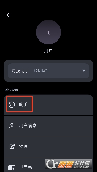 助手标签页